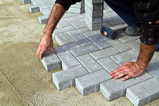 Best Driveway Paving Contractor  in Immokalee, FL